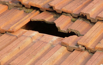 roof repair Allensford, County Durham